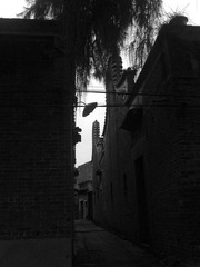 20111108454.jpg