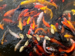 IMG_20130729_150433.jpg
