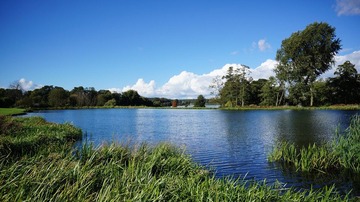 DSC04434.JPG