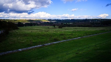 DSC04553-2.jpg