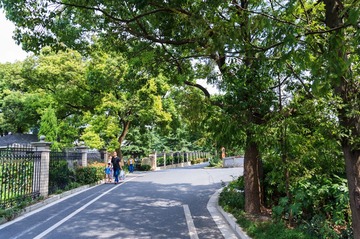 DSC01289-2