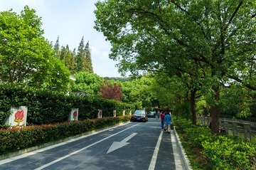 DSC01291-2