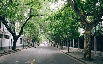 R0010510-2