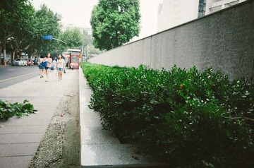 R0010539-2