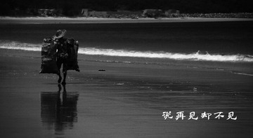 说再见却不见