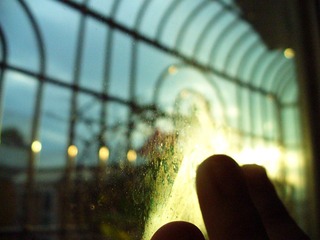 希望在晨曦