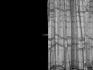 B N W