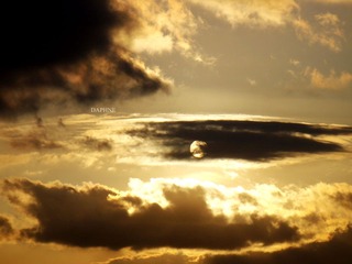 SUN OR MOON