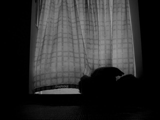 window.