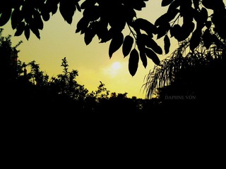 Sunrise.jpg