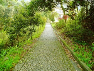 path.jpg