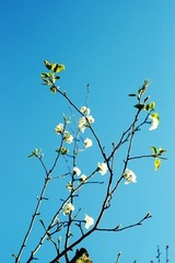 IMGP6117副本.jpg