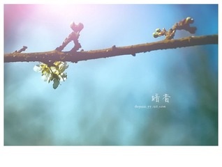 IMGP5950.jpg