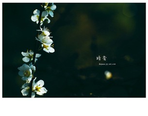 IMGP5957副本1.jpg