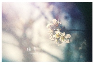 IMGP6254副本.jpg