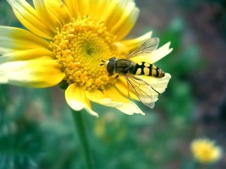 DSCN9019.JPG
