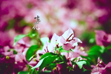IMGP9076.jpg