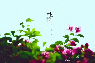 IMGP9082.jpg