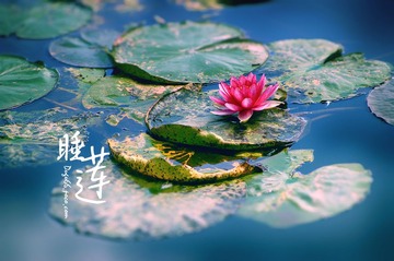 IMGP9236副本.jpg