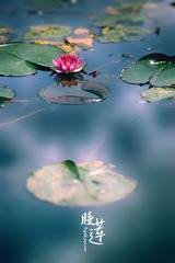 IMGP9238副本.jpg