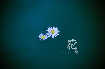 IMGP9222-2