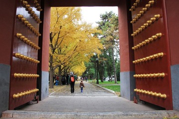 地坛之秋01.JPG