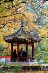 地坛之秋03.JPG