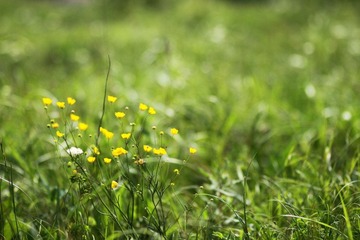 IMG_8623.JPG