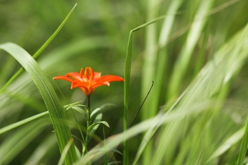 IMG_8627.JPG