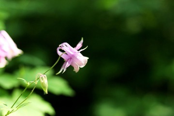 IMG_8646.JPG