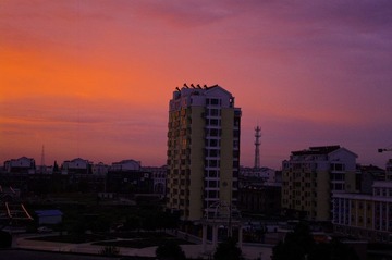 IMGP1243_1.jpg
