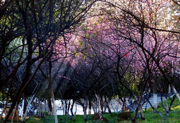 P1110023.JPG