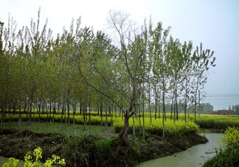 P1110630.jpg