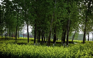 “P1110629”为智能对象-1.jpg