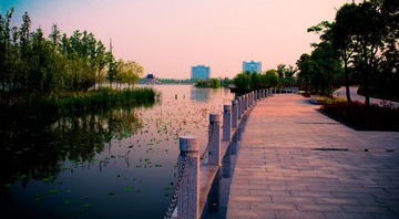 “_IGP5695”为智能对象-1 副本.jpg