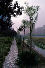 _IGP7117.jpg