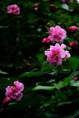 0E680E90-1158-4766-A8AC-6D31A8BEDDF6/L0/001