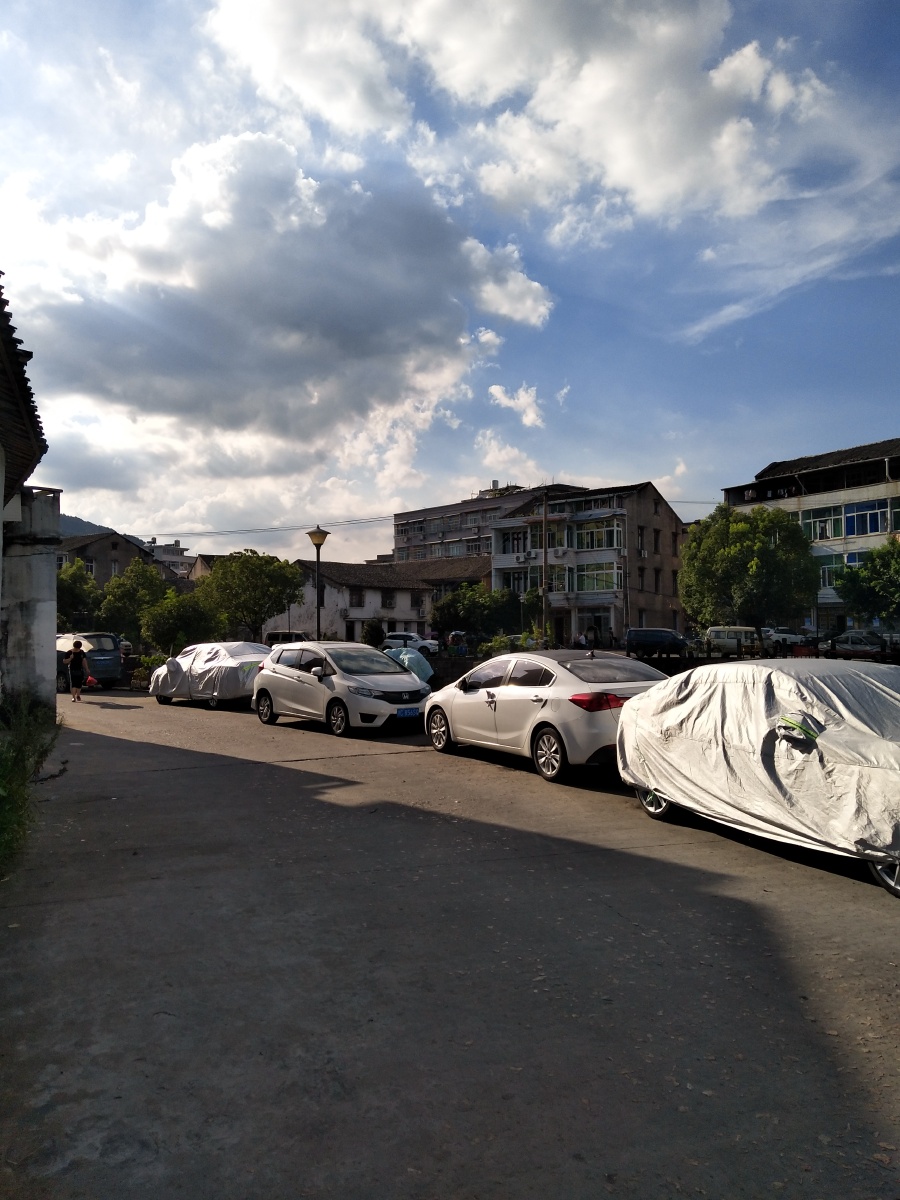 我的眼里只有黑