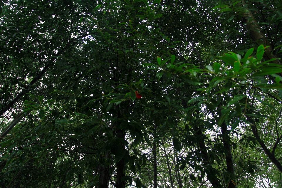 IMG_0418-2<br />

