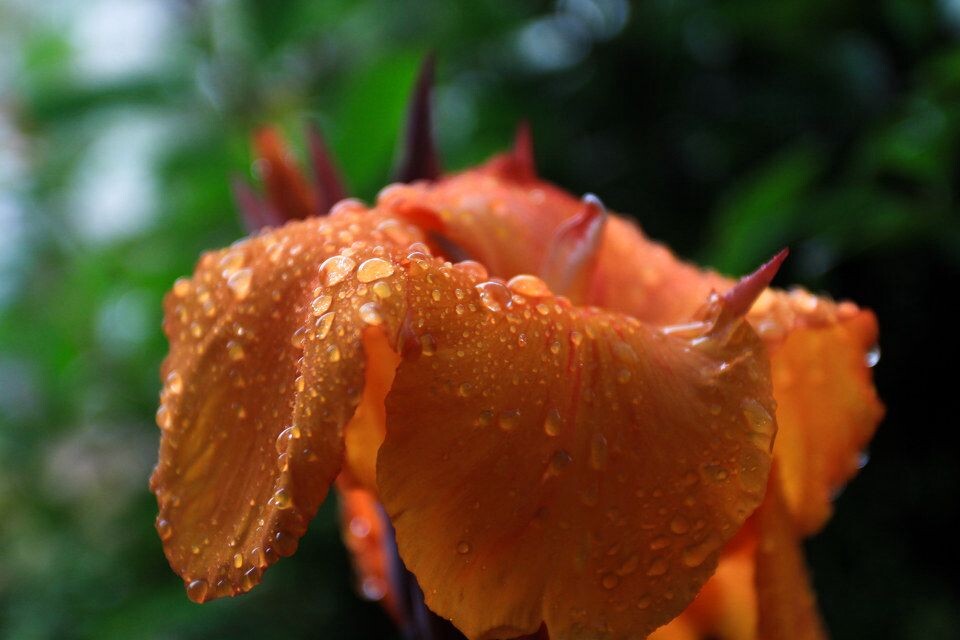 IMG_0412-2<br />
