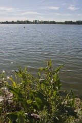 _DSC0113
