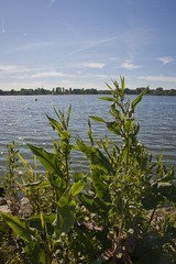_DSC0112