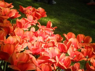 SAM_1761