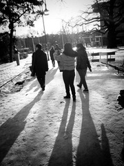 SAM_0800