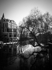 SAM_0798