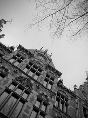 SAM_0183-2