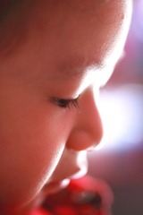 IMG_8417.JPG