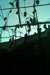 IMAG0153