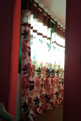 IMAG0157