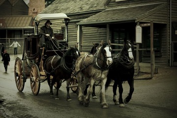 IMG_4654-1